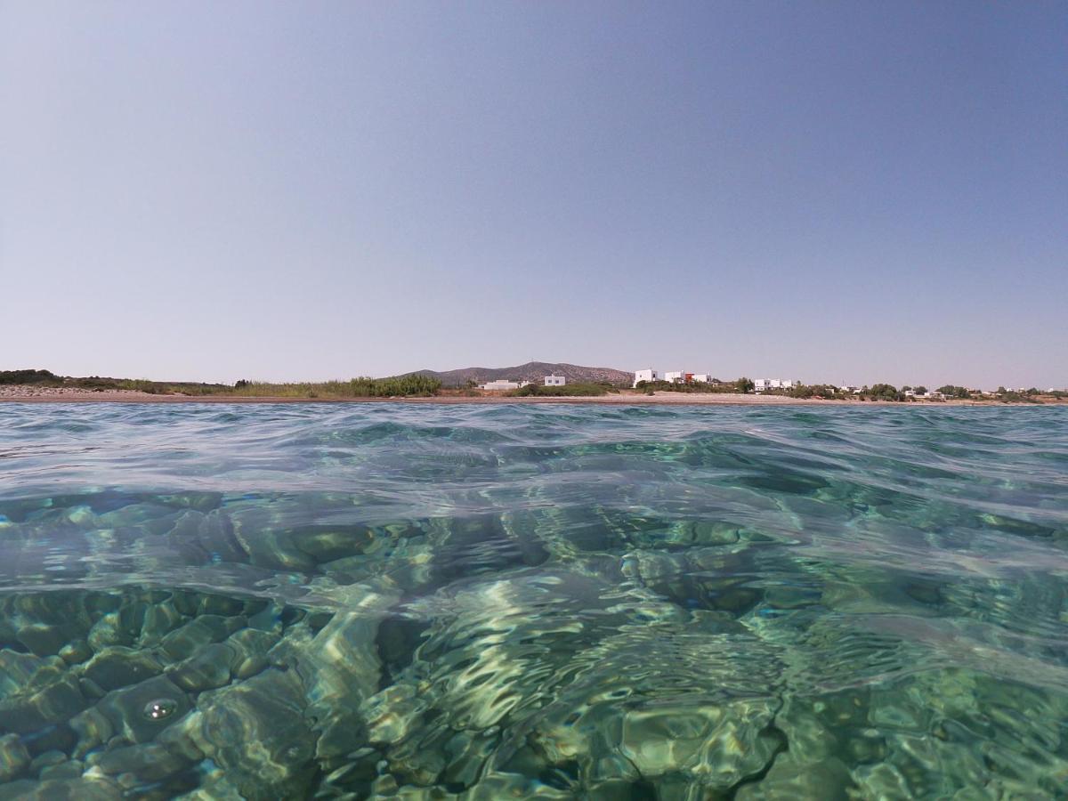 Seashore Beachfront Villa Lachania  Exterior photo
